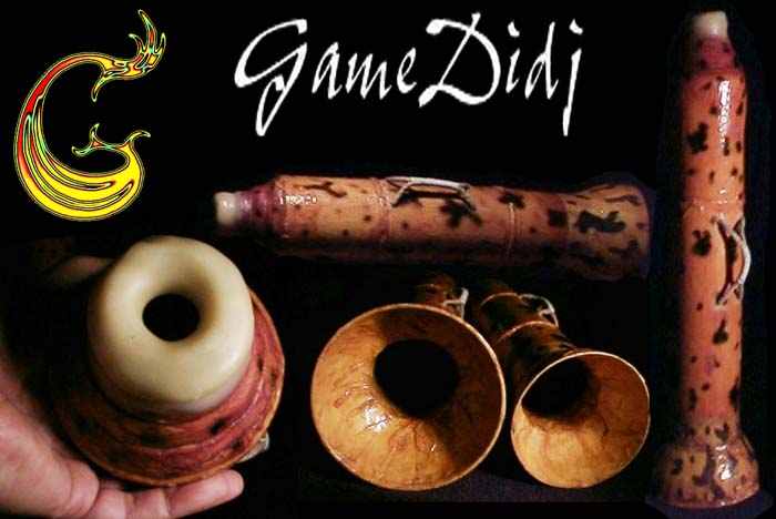 GameDidj