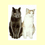 spinningkitties.gif (90469 bytes)